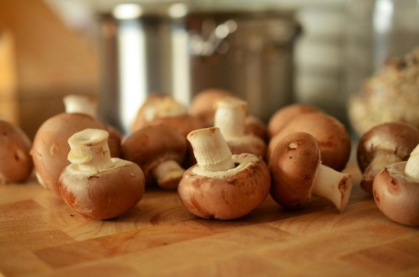 French mush : mon expérience avec les champignons adaptogènes